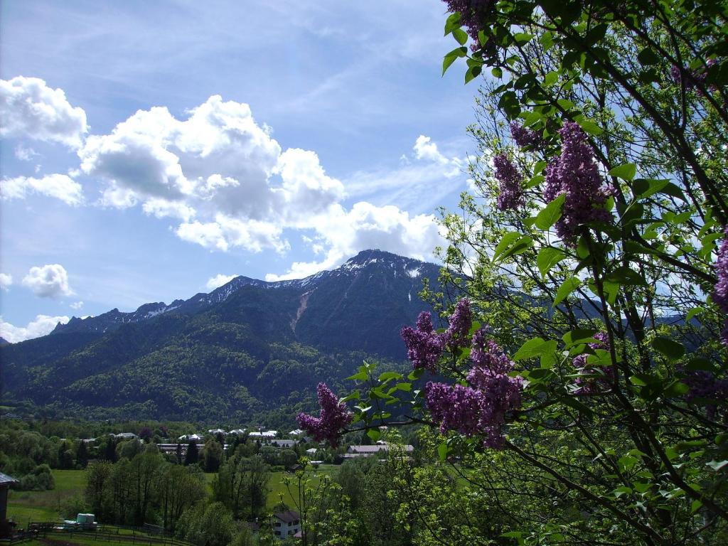 Leitnerhof Hotel Bad Reichenhall Bagian luar foto